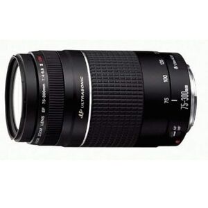 Canon EF 75-300mm f/4-5.6 III Telephoto Zoom Lens